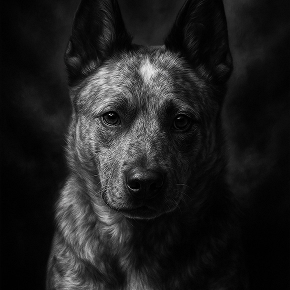 Meet your Posher, Jennifer - Picture 13 of 16